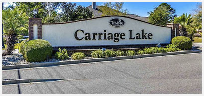 Carriage Lake Community & Real Estate Information