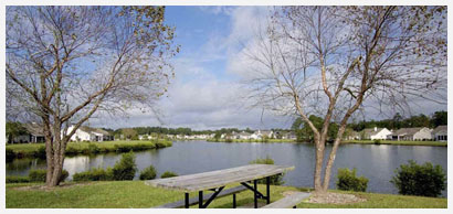 Carriage Lake Community & Real Estate Information